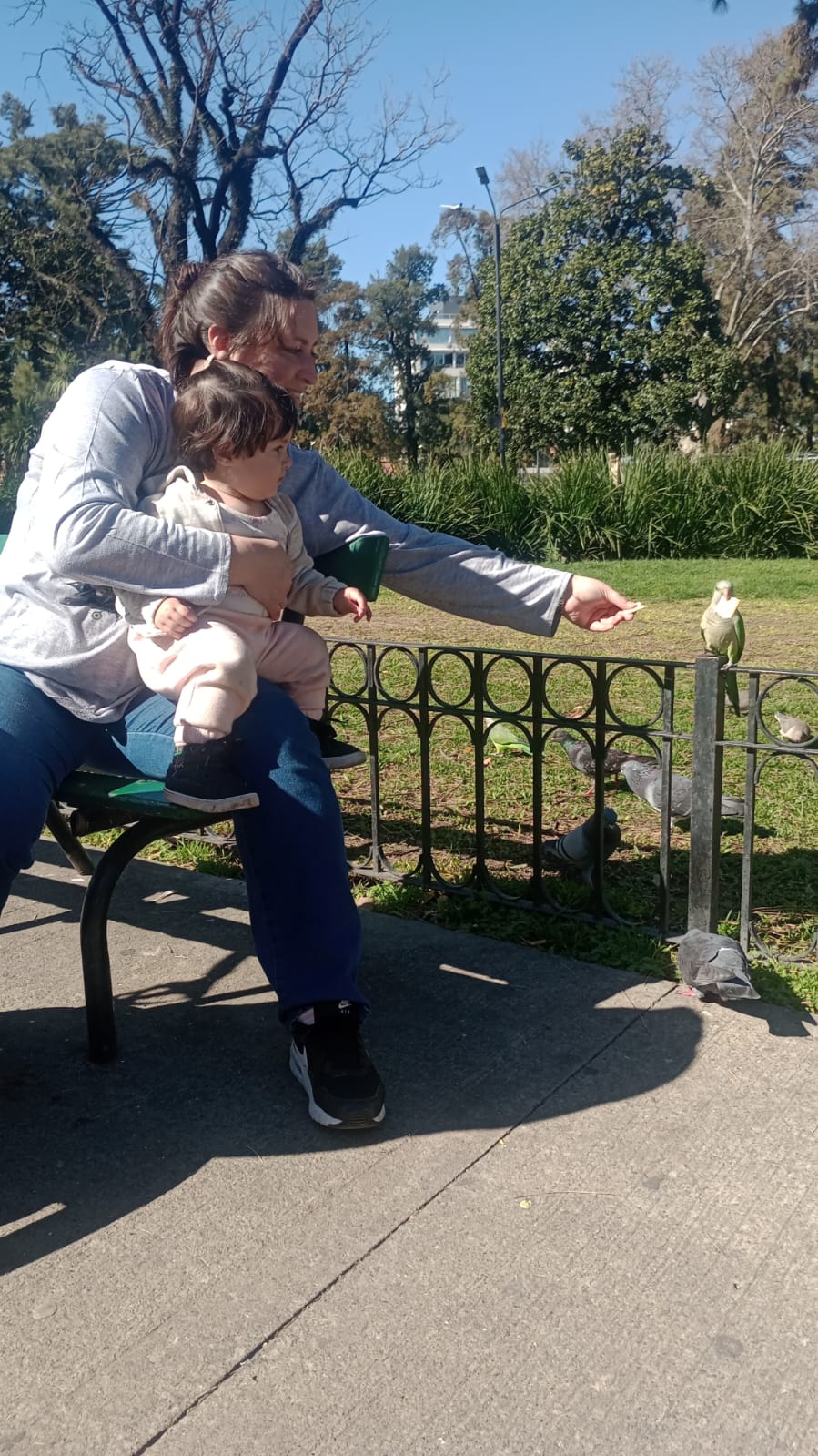 WhatsApp Image 2025-08-28 at 11.04.23.jpeg